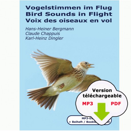 Voix des oiseaux en vol (350 MP3/PDF à télécharger)