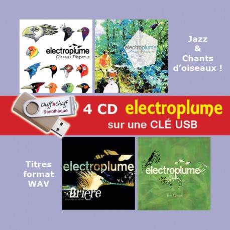 CLÉ USB : 4 CD ELECTROPLUME (WAV)