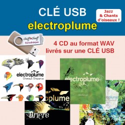 CLÉ USB : 4 CD ELECTROPLUME (WAV)