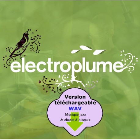 BIRDS & GROOVE - ELECTROPLUME  (CD WAV)