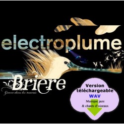 BRIERE / GROOVE DANS LES MARAIS - ELECTROPLUME  (CD WAV)