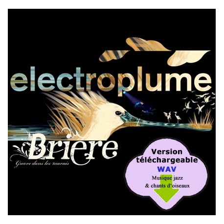 BRIERE / GROOVE DANS LES MARAIS - ELECTROPLUME  (CD WAV)