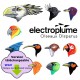 OISEAUX DISPARUS - ELECTROPLUME  (CD WAV)