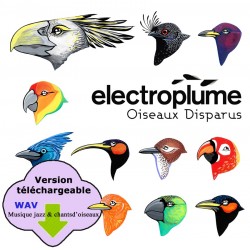 OISEAUX DISPARUS - ELECTROPLUME  (CD WAV)