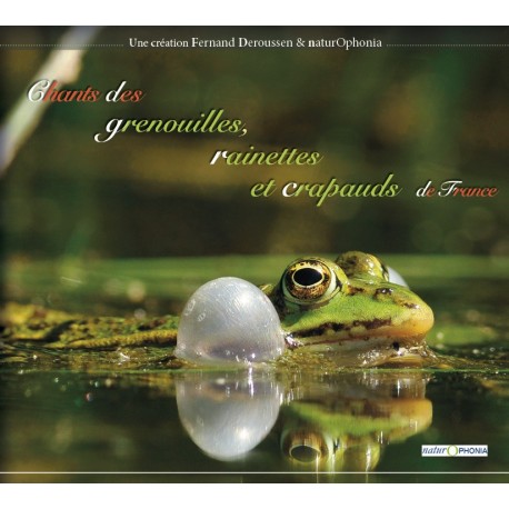 Chant de grenouille verte - Mer et Nature en Seine