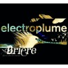 BRIERE, Groove dans les marais (Electroplume)