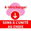 SONS À L'UNITÉ (MP3)